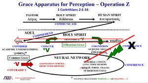 Grace Apparatus for Perception-Operation Z (Negative Compliance).png
